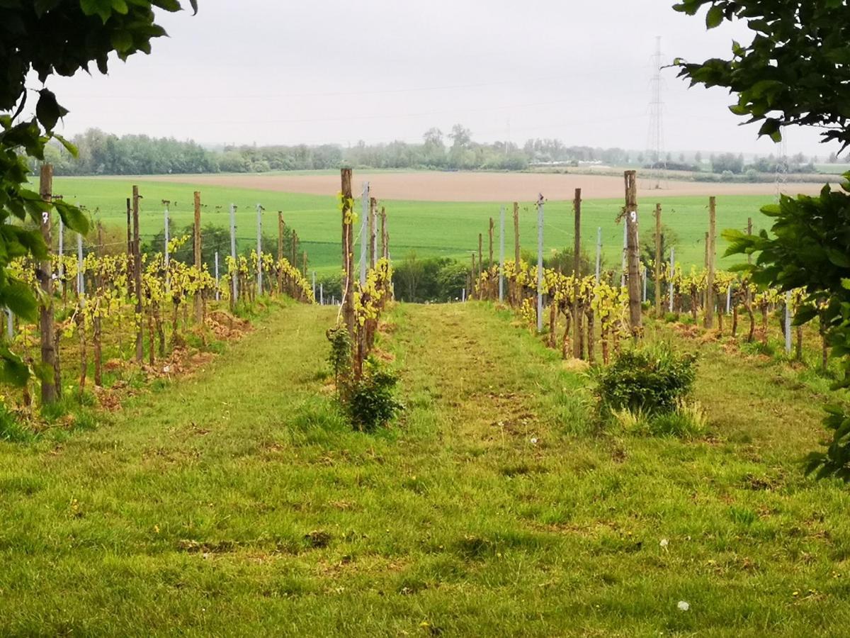 Mines De Ryen Vendégház La Bruyere Kültér fotó